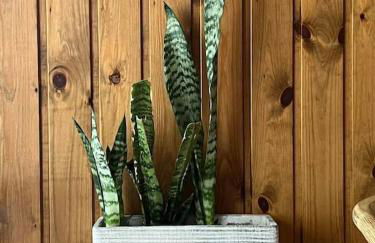 Perdika's Cove, spacious sea view family home - Foto 12