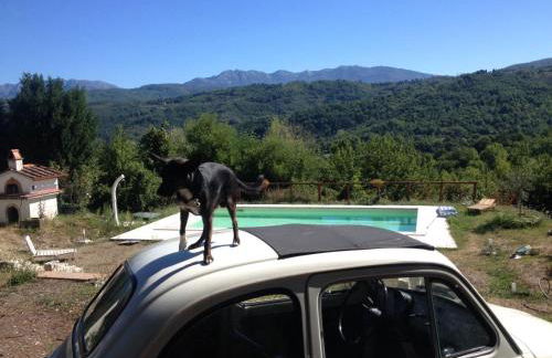 Le Apuane Holidays - Foto 68