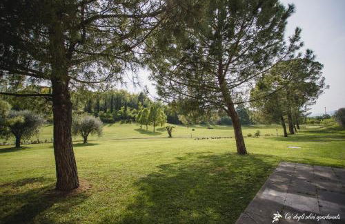 Ca' degli Ulivi - Oliva Verde - Foto 10