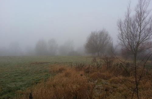 Gästehaus Schmidt - Foto 76