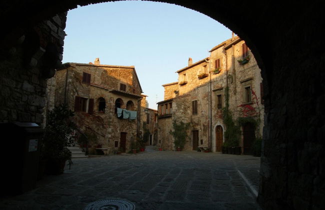 Fattoria Pianetti - Photo 57