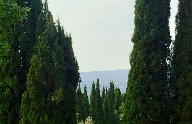 Poggio Corsucci - Foto 53