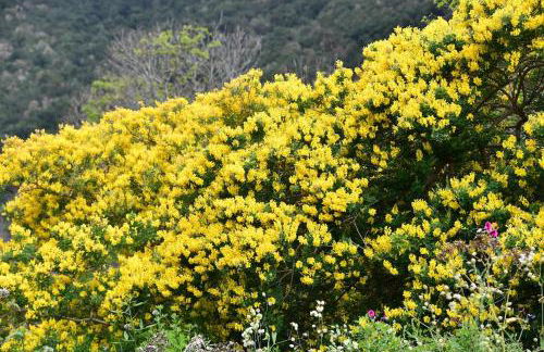 SABINOSA RURAL AREA Casa Benito - Foto 16