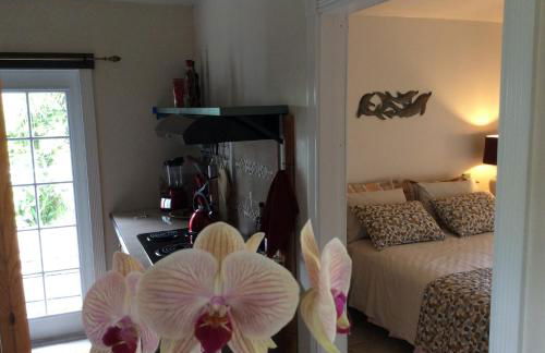 Mediteranean style Ohana Rental / Garden Bungalow in Pahoa - Photo 1