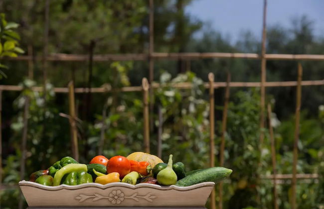 Aneli Villas - Villa Elissavet - Foto 44