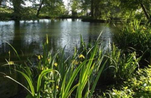 Gîte indépendant avec étang - 3 chambres, animaux admis - FR-1-583-382 - Foto 18