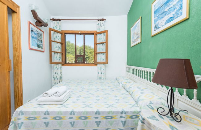 Hibiscus in Sa Pobla - Foto 19