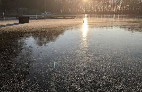 Haus am See - Foto 24