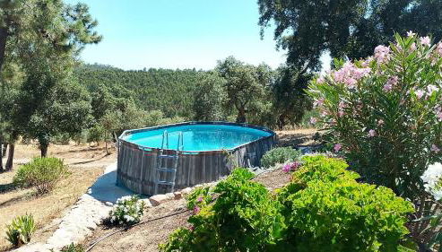 Casa de Celebrar a Vida - Foto 3