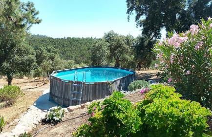 Casa de Celebrar a Vida - Foto 3