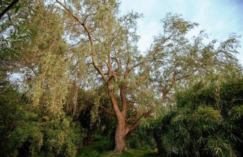 Orchard Cottage - Rudge Farm Cottages - Foto 43