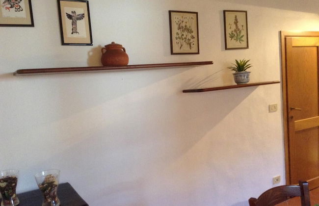 Vellutini Number One - Foto 36