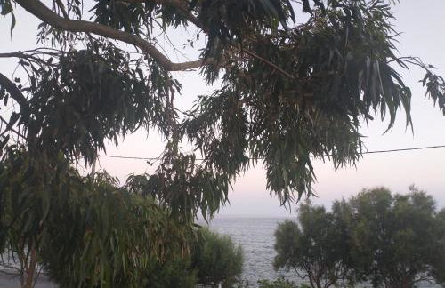 Mini Villas Avra - Foto 7