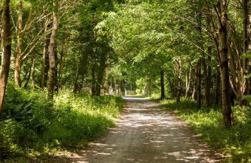 Cosy Rural Apartment - Foto 21