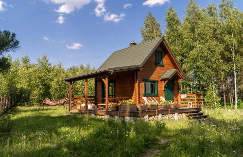 Głuszecki las - Foto 55