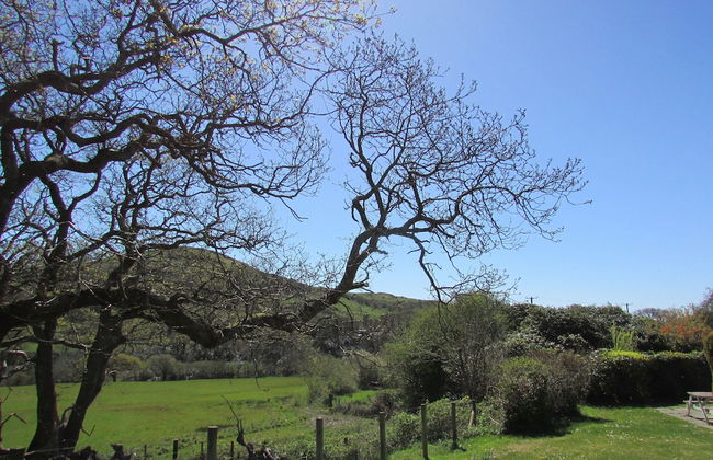 Golygfa'r Cwm - Foto 26