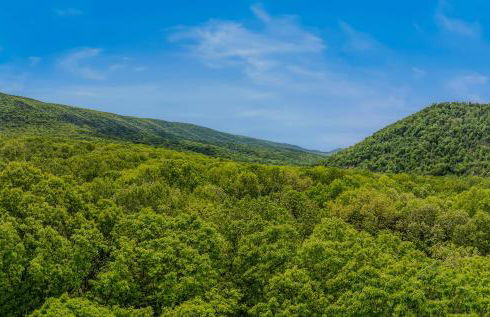 River Walk Cottage - Hot Tub - Pet Friendly - Swing - Screen Porch - River Access - Fire Pit - Wifi - Grill - Deck - King Bed - Foto 71