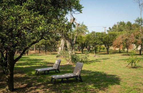 Agriturismo Villa Coluccia - Foto 37