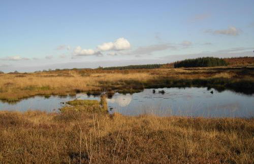 Eifellounge - Foto 66