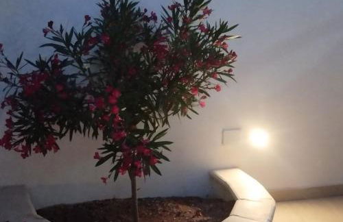 Le Calette Residence - Foto 22