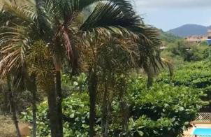 Apartamento Maranduba - Foto 66