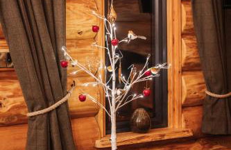 Chestnut - Tedstone Log Cabins - Foto 22