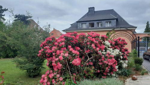 Kutscherhaus Werdau - Foto 5, Garden view
