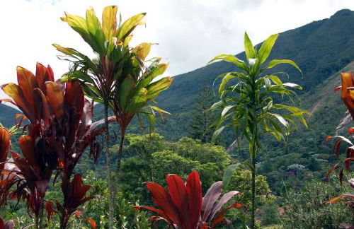 Casa de Araras - Foto 27