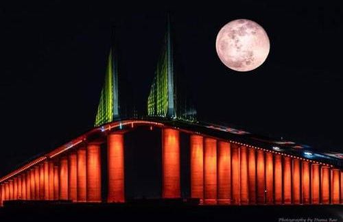 Itz a Vibe - 1 bedroom studio in the heart of DTSP - Foto 35