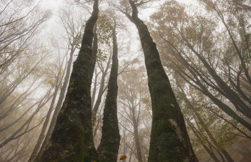 Casa Vacanza Le Viste Holiday home and spa - Foto 20