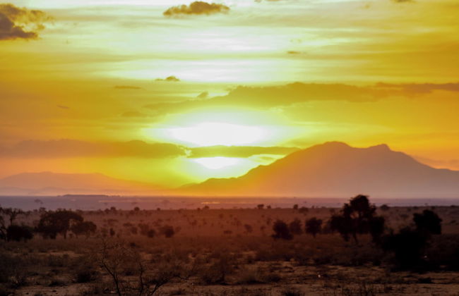 Amanya 1-bed Zebra Tent - Foto 33