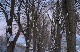 Haus Sonnenburg - Foto 46