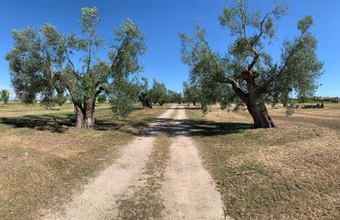 Resort Fonte Vulci - Foto 61