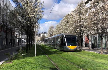 Élégant T2 au calme - Photo 16