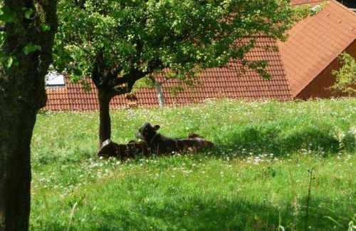 Unterhohnenhof - Foto 11