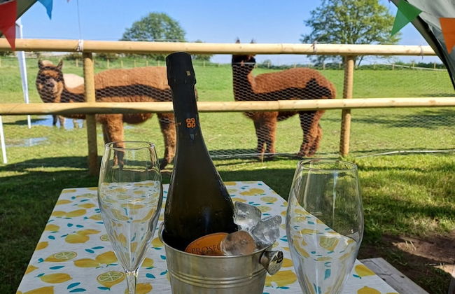 The Heartwood - Luxury Cabin Near York - Foto 22