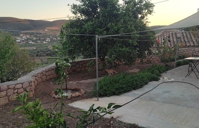 Cottage in Vellies-nice Place for Families - Foto 8