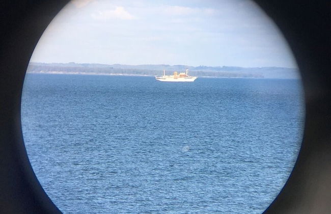 Cozy Brenderup Apartment on the Beach - Foto 13