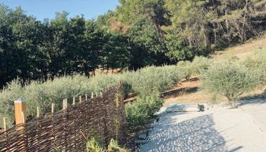 Jolie maison de 110 m 2, pour 6 personnes, au calme, avec piscine - Photo 5