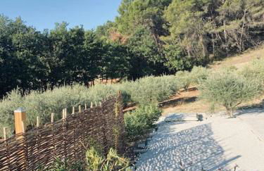 Jolie maison de 110 m 2, pour 6 personnes, au calme, avec piscine - Foto 5