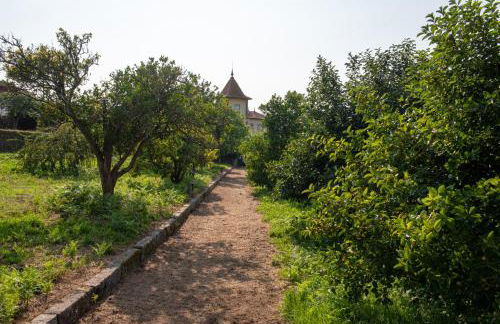 Casa da Torre luxury villa in Braga - Foto 58