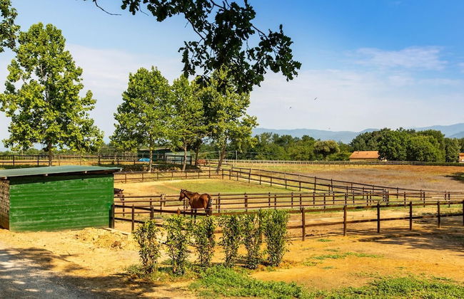 Villa Elisa 16 in Fucecchio - Foto 23