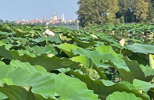 A Casa di Bruna - Foto 39