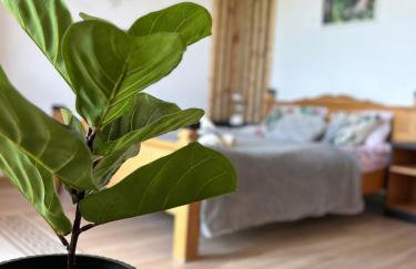 APARTAMENTY Adamcykówka blisko stoku Czorsztyn-Ski! Jacuzzi i Sauna w cenie! - Foto 39