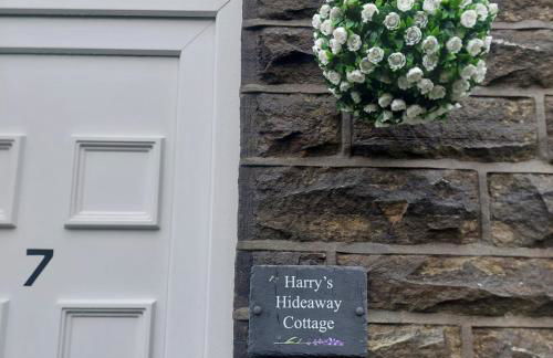 Harrys Hideaway Cottage - Foto 4