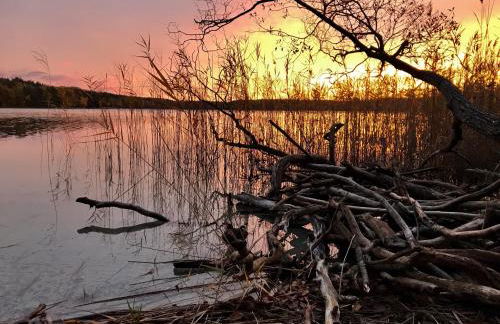 Studio Zempow, ökologisches Ferienhaus - Photo 21