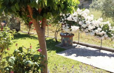 Villa Freedom - Koutsoubri Beach Evia - Foto 27