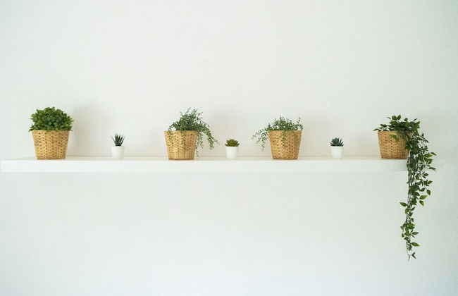 Trullo Pinto - Foto 20