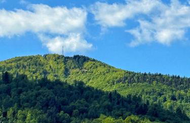 APARTAMENTY SZYNDZIELNIA RODZINNE - 2 SYPIALNIE & BALKON & GÓRY & Parking - TWOJA BAZA WYPADOWA NA SZLAKI i W GÓRY - FAMILY SPACE & BASE - Foto 8