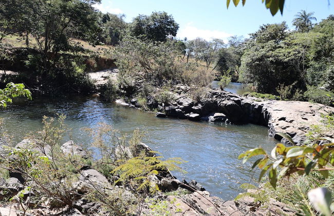 Fazenda Santa Amalia - Foto 63